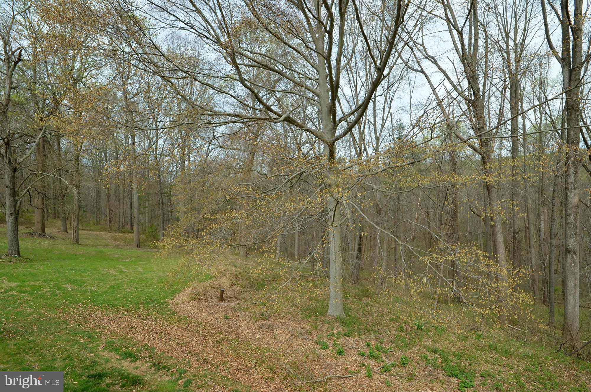 14045 Sunnybrook Road Phoenix, MD 21131 - Photo 25 of 27 a view of a yard