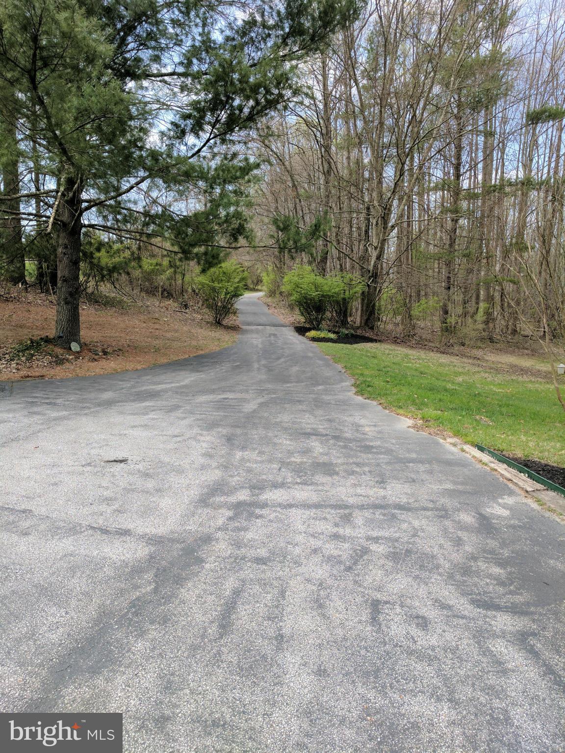 14045 Sunnybrook Road Phoenix, MD 21131 - Photo 26 of 27 a view of a yard with plants and trees