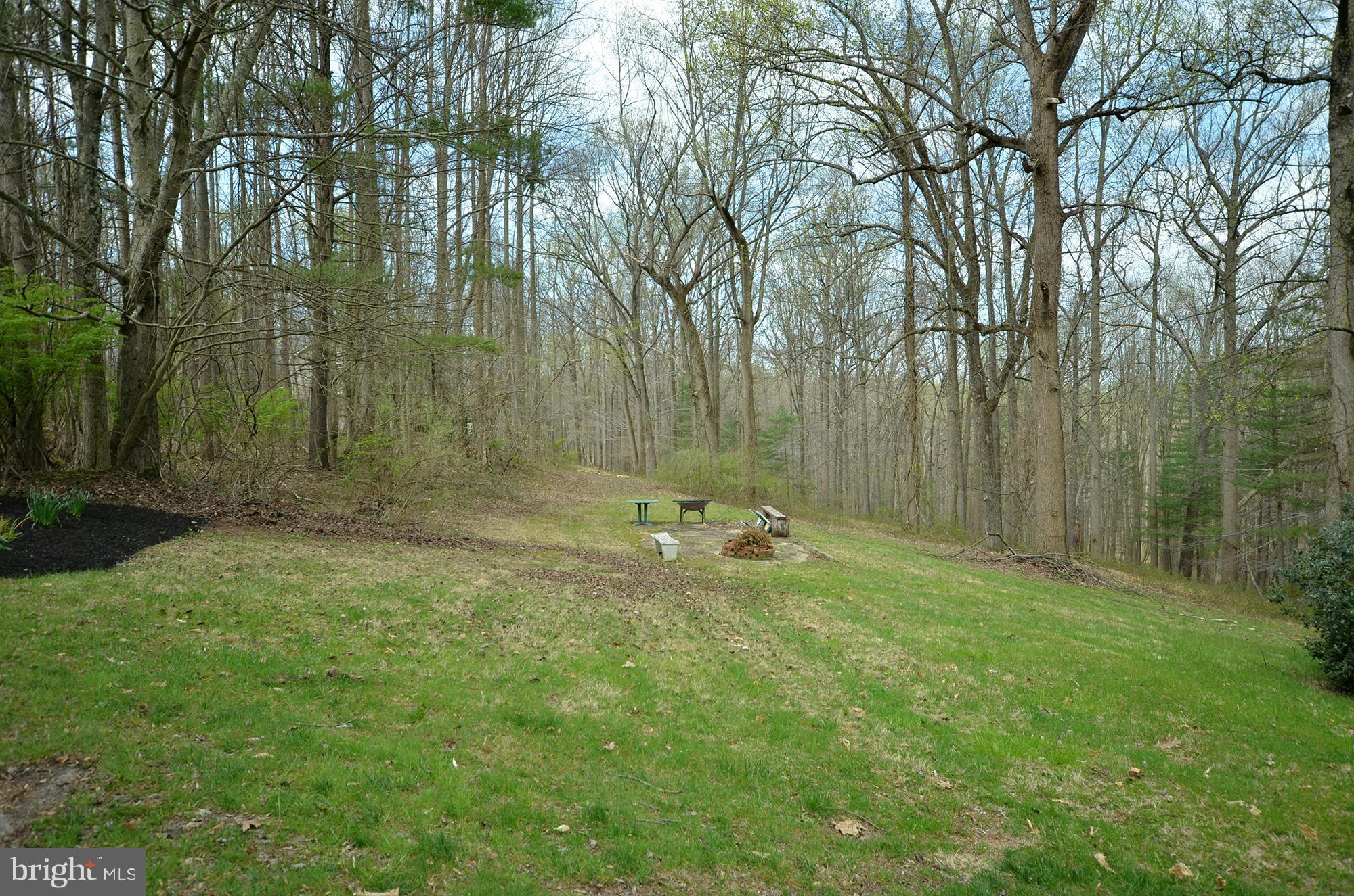 14045 Sunnybrook Road Phoenix, MD 21131 - Photo 27 of 27 a view of a backyard with large trees