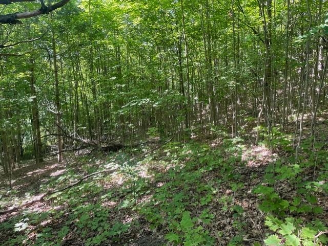 V/l V/l Windy Ridge Beulah, MI 49617 - Photo 8 of 20