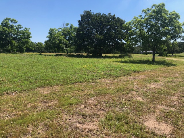 -henry Prairie Rd Henry Prairie Road, Unit COUNTYROAD Franklin, TX 77856 - Photo 7 of 17