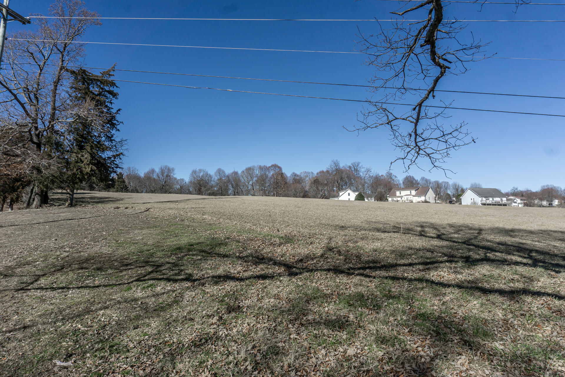 2007 Holly Creek Road Greeneville, TN 37745 - Photo 68 of 90 2006HollyCreekG_081
