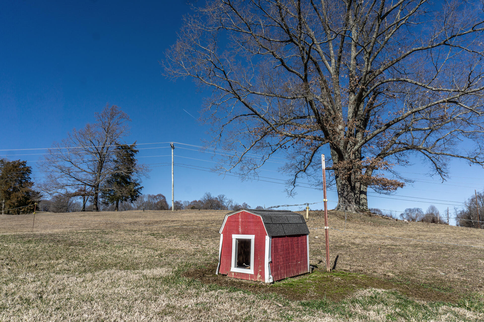 2007 Holly Creek Road Greeneville, TN 37745 - Photo 79 of 90 2006HollyCreekG_103