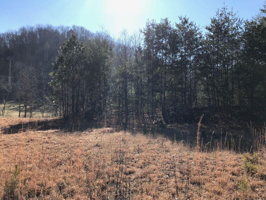 Lot 5 Thomas Headrick Road Sevierville, TN 37862 - Photo 1 of 5 Thomas1