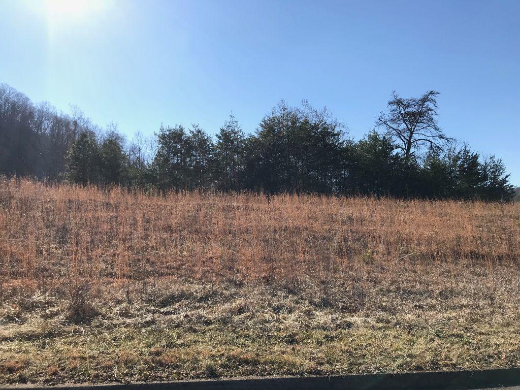 Lot 5 Thomas Headrick Road Sevierville, TN 37862 - Photo 4 of 5 Thomas5