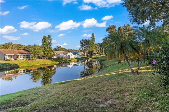 a view of a house with a yard and large tree