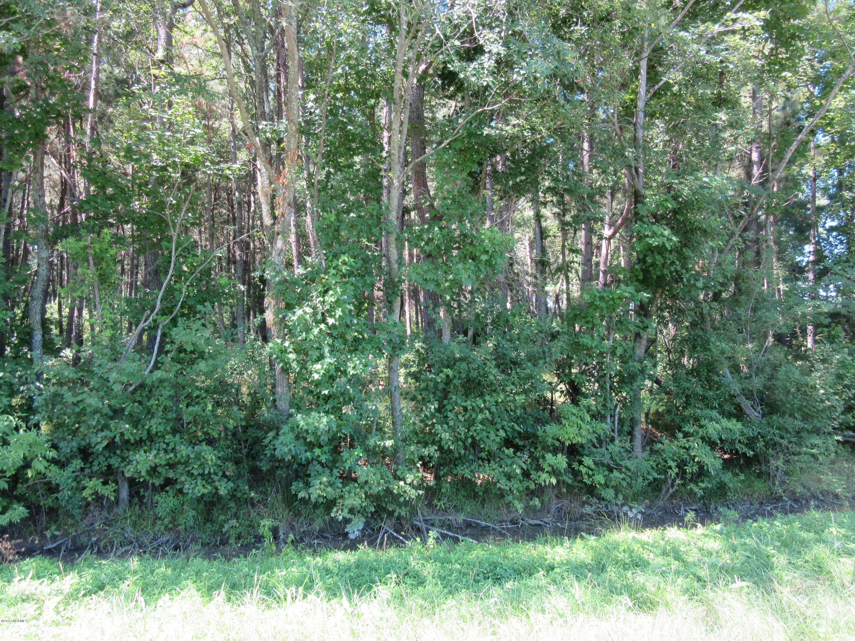 8587 Rough And Ready Road Cerro Gordo, NC 28430 - Photo 1 of 2 RnR and other 001
