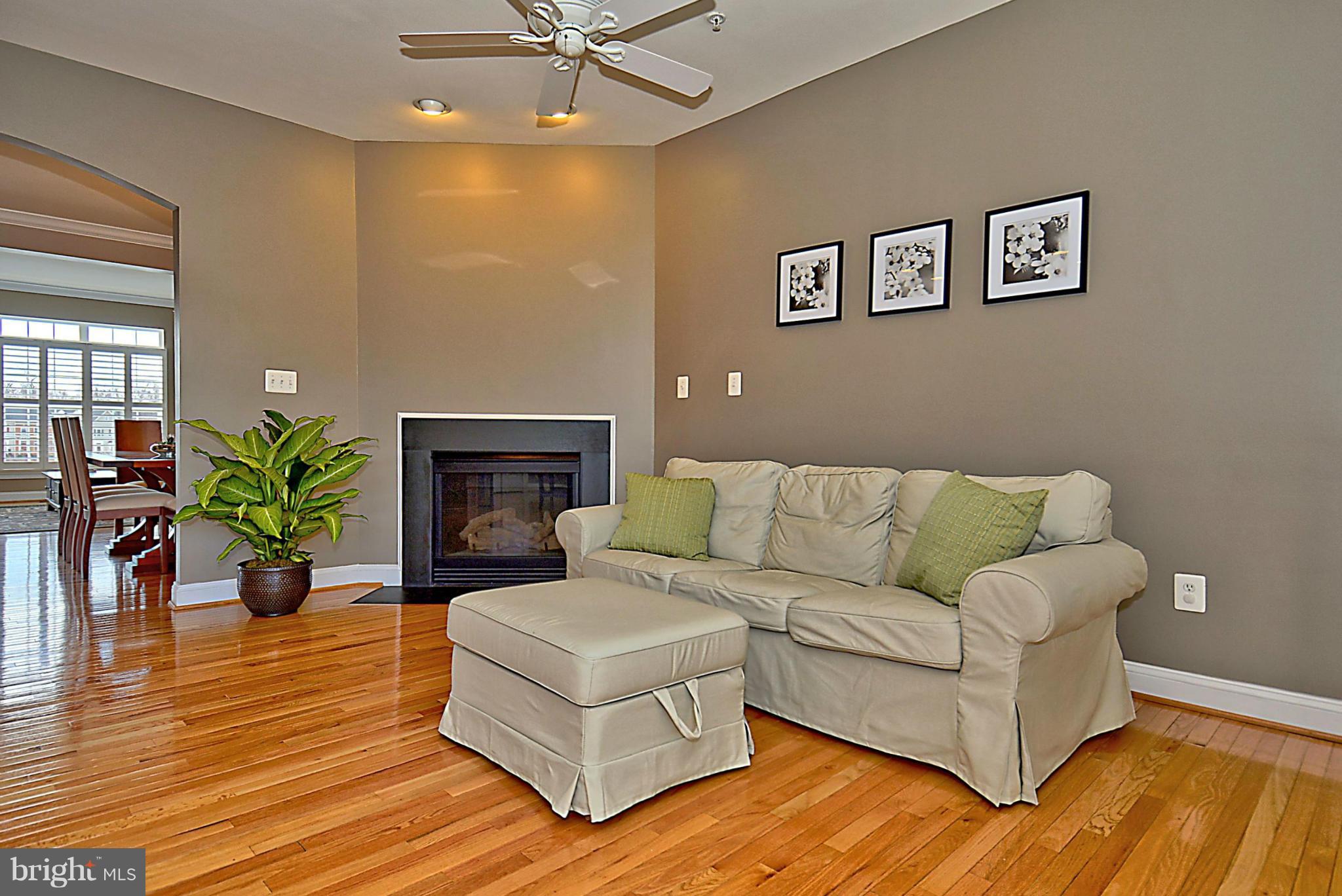 23051 Birch Mead Road Clarksburg, MD 20871 - Photo 16 of 29 Family Room