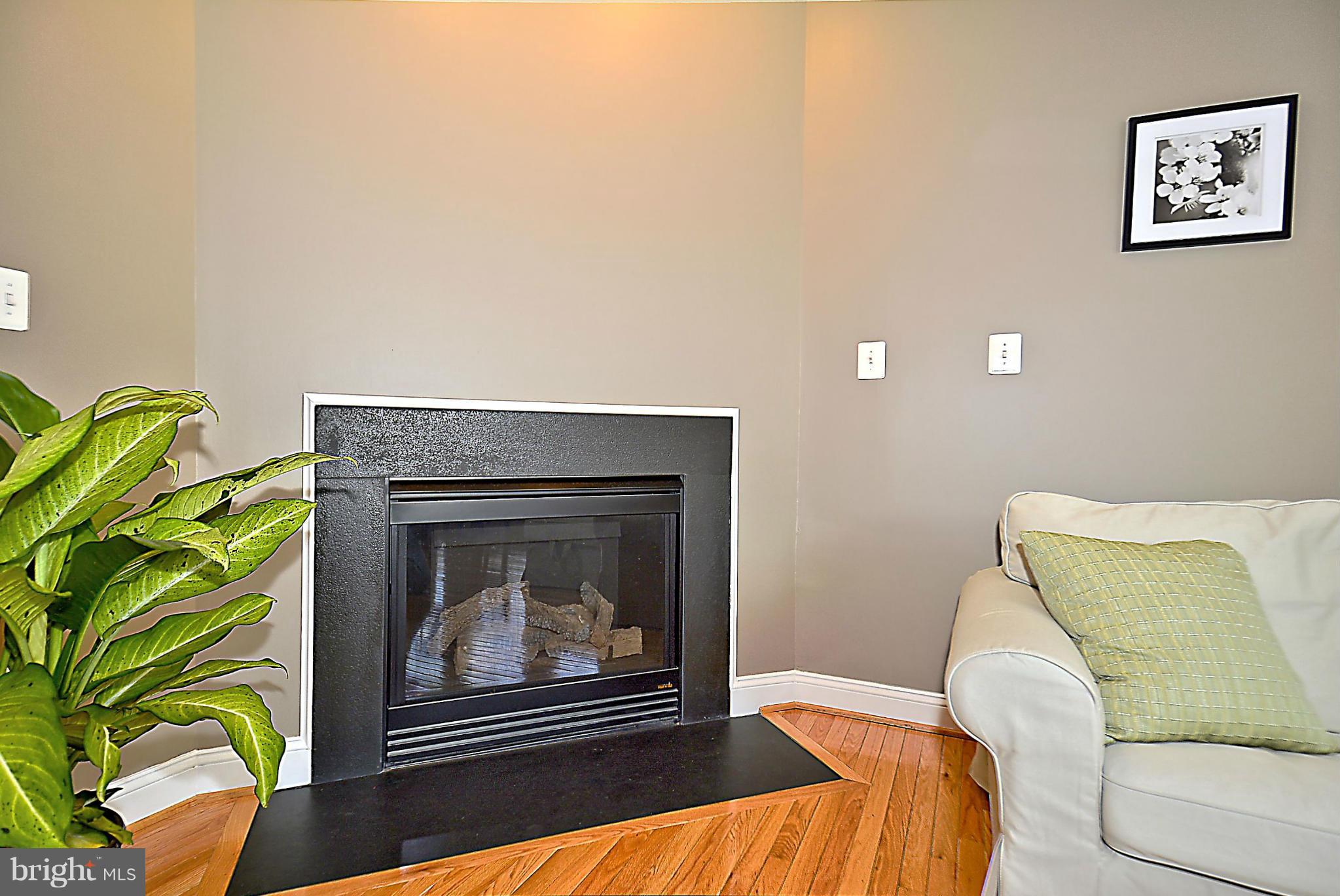 23051 Birch Mead Road Clarksburg, MD 20871 - Photo 17 of 29 Family Room