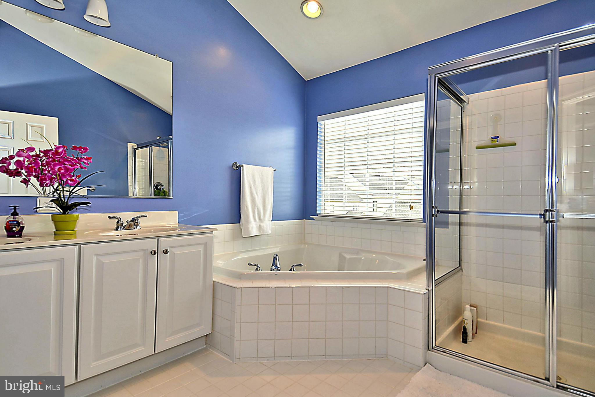 23051 Birch Mead Road Clarksburg, MD 20871 - Photo 26 of 29 Bath (Master)