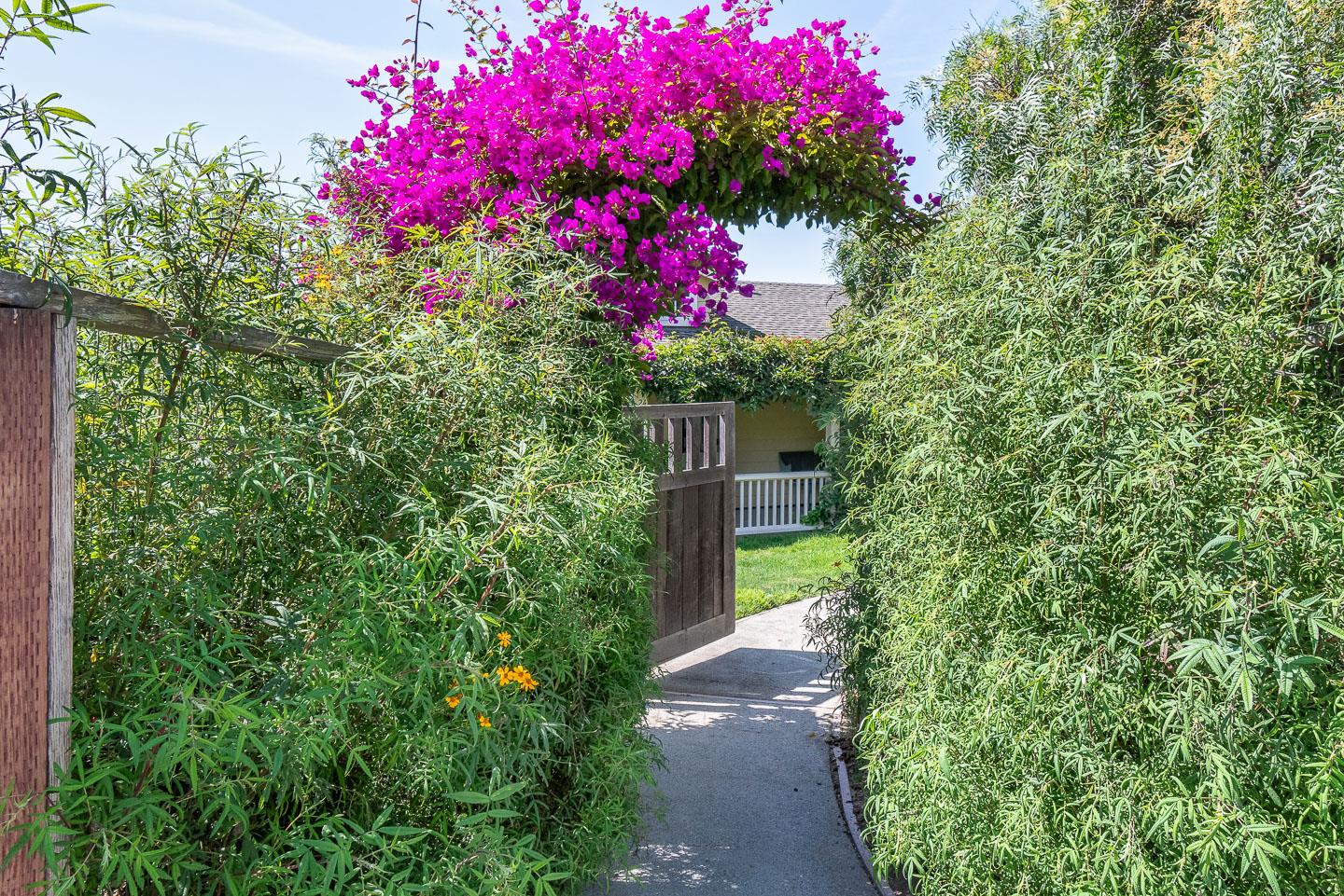 24 Cresta Way La Selva Beach, CA 95076 - Photo 4 of 23 a picture of flowers
