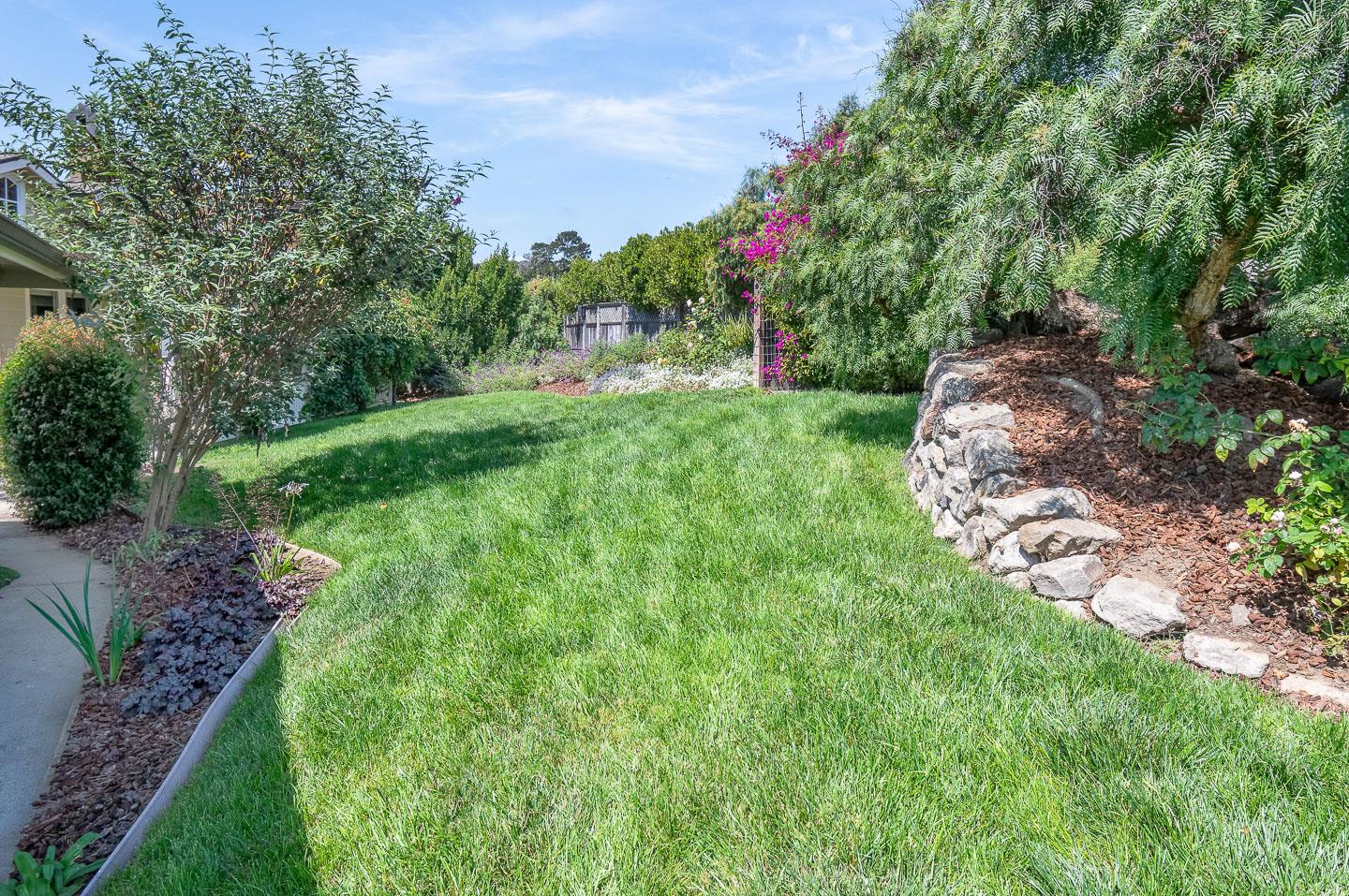 24 Cresta Way La Selva Beach, CA 95076 - Photo 7 of 23 a view of a garden with a tree