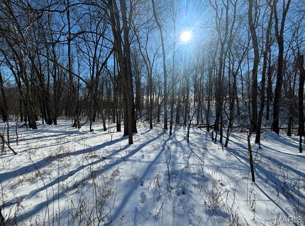 Undisclosed Address Iuka, IL 62849 - Photo 1 of 1