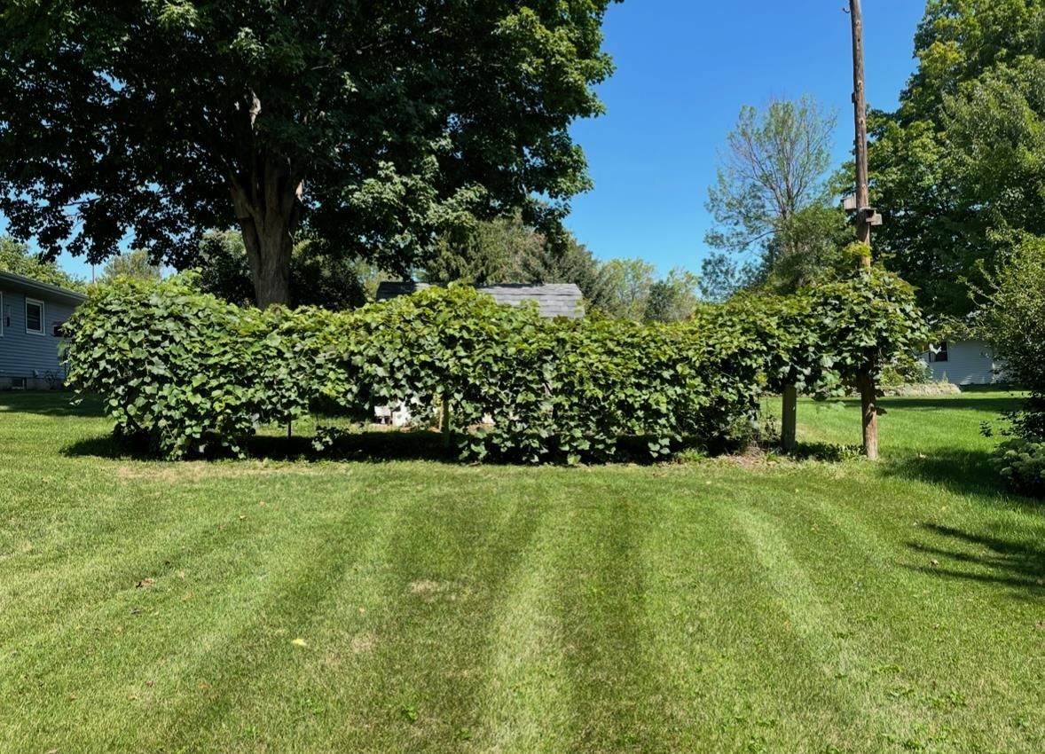 1175 Farnham Street Columbus, WI 53925 - Photo 20 of 22