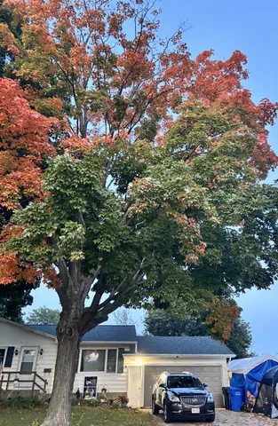 $253,200 | 1175 Farnham Street, Columbus, WI 53925