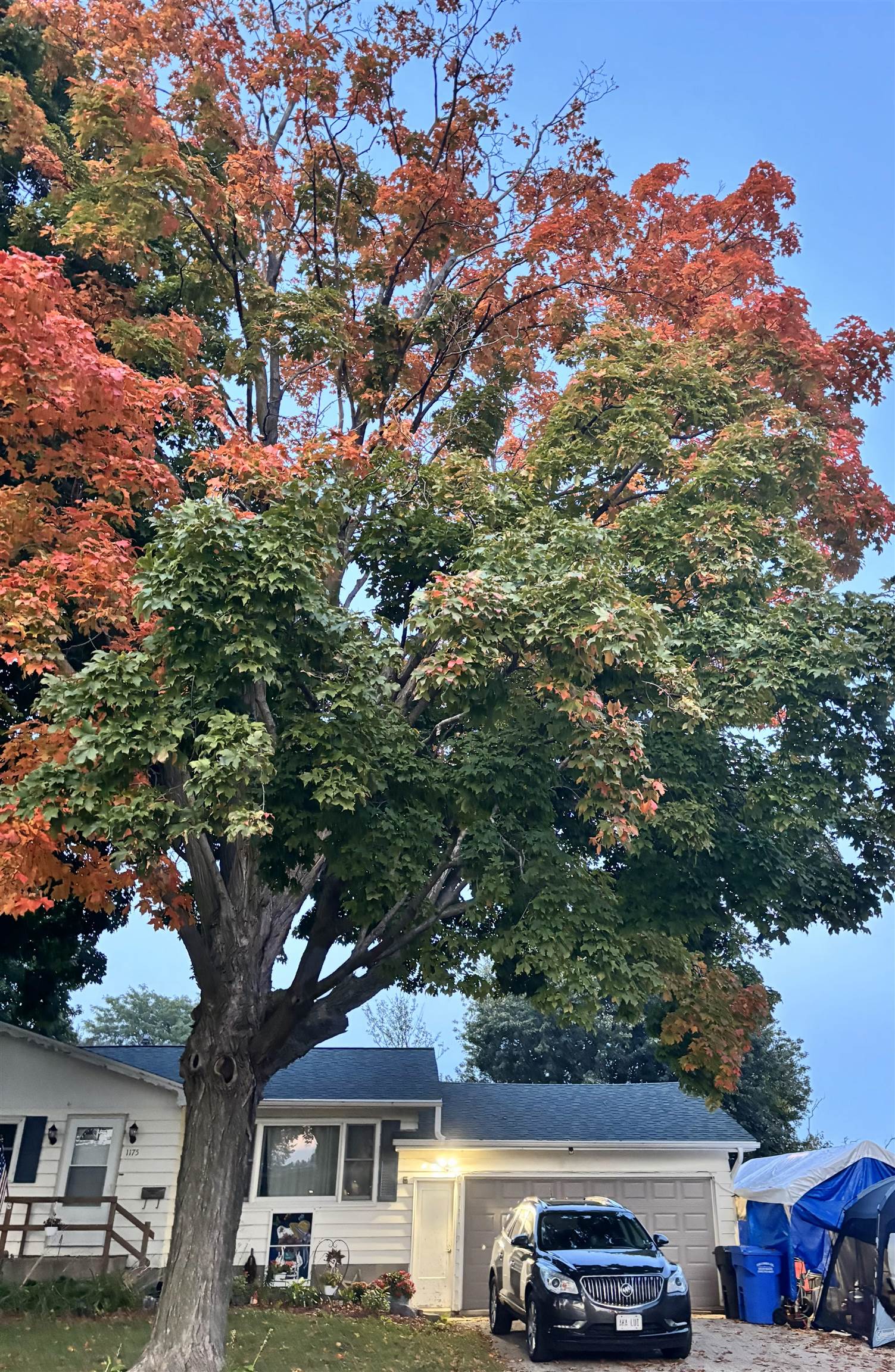 1175 Farnham Street Columbus, WI 53925 - Photo 21 of 22