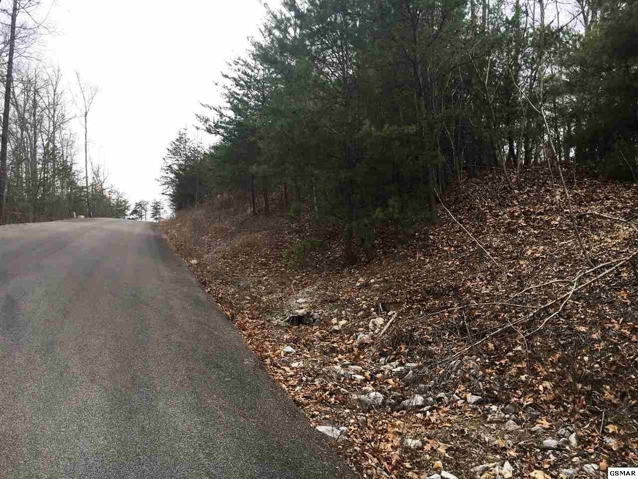 7 Stackstone Road Sevierville, TN 37862 - Photo 5 of 10