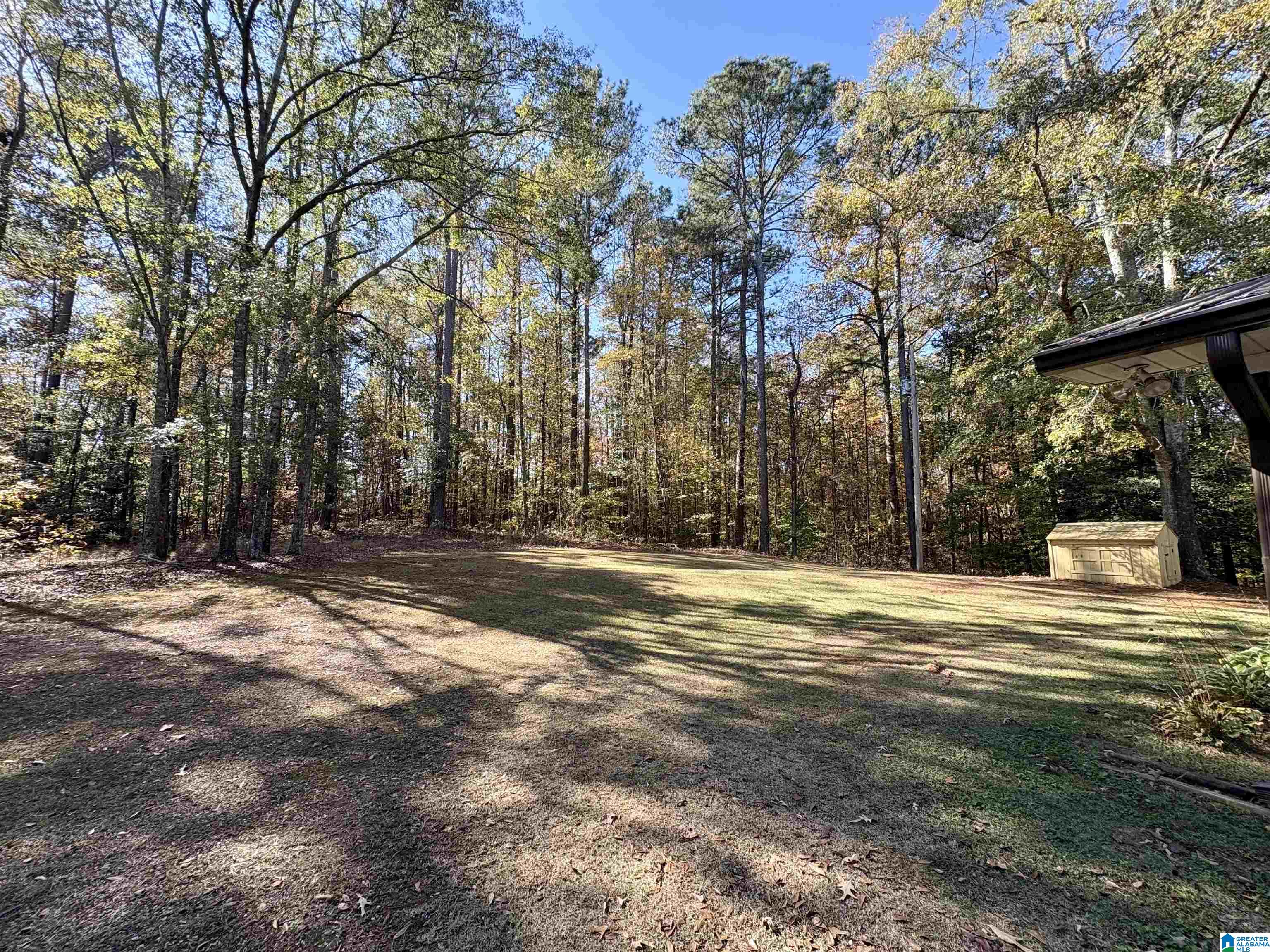 289 Olive Branch Road Ashland, AL 36251 - Photo 30 of 30