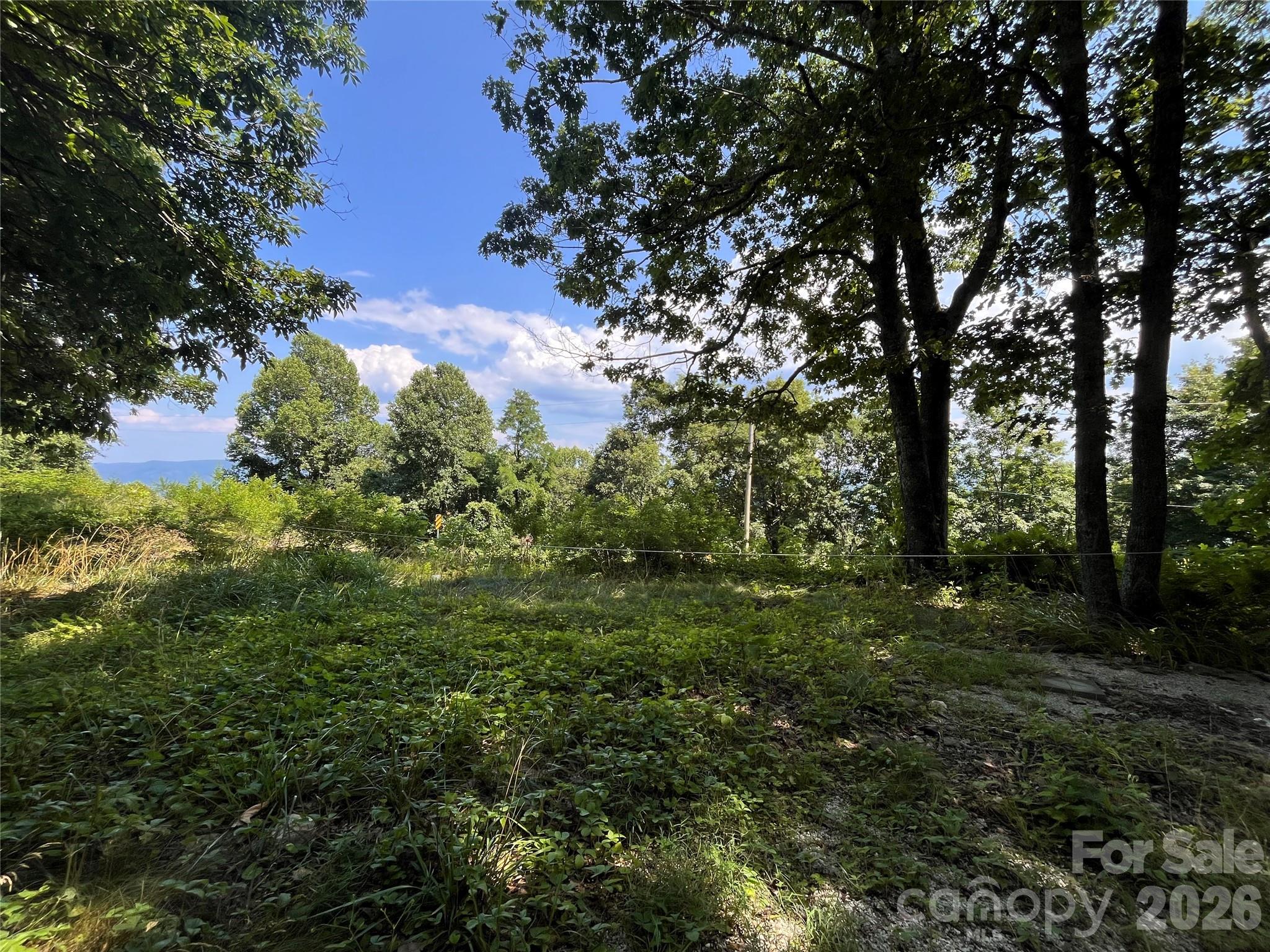 200 Osborn Knob Road Marion, NC 28752 - Photo 20 of 21
