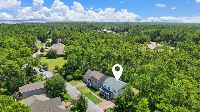 a view of a tree with a yard