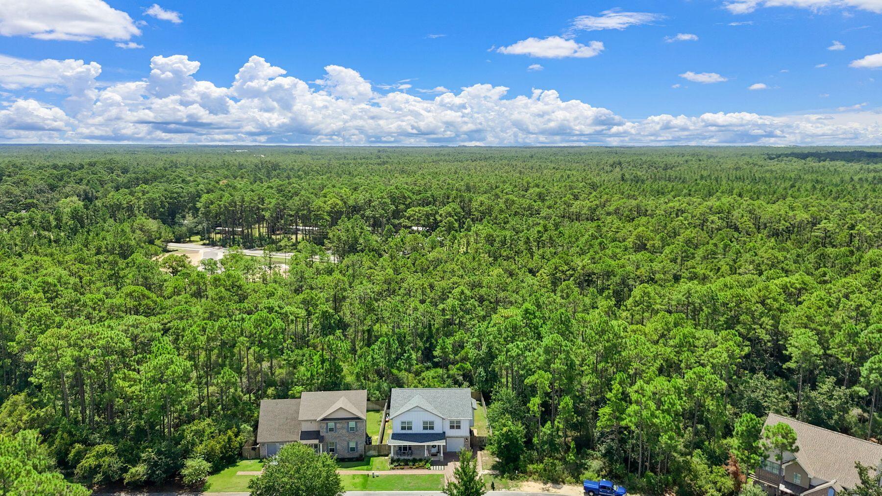 297 Cox Road Santa Rosa Beach, FL 32459 - Photo 39 of 41 a view of a big yard with potted plants and large tree