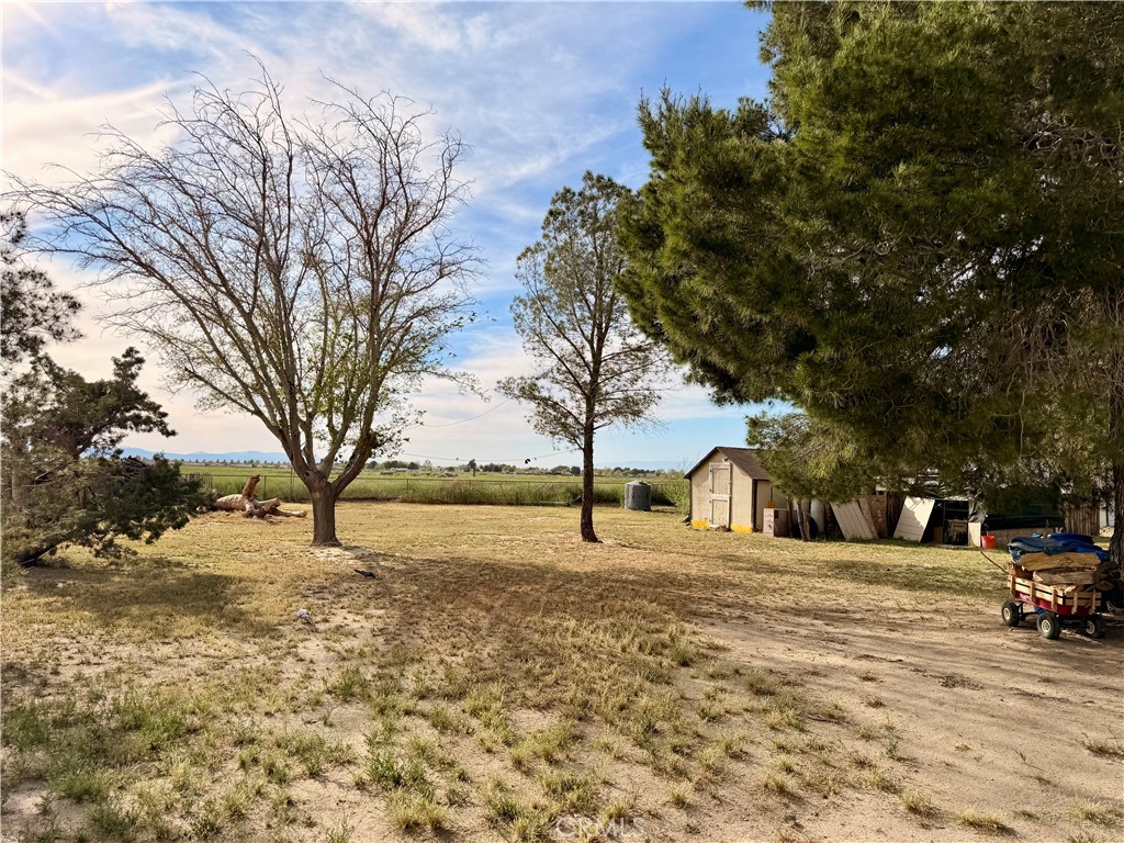 43127 40th Street East Lancaster, CA 93535 - Photo 22 of 24 backyard