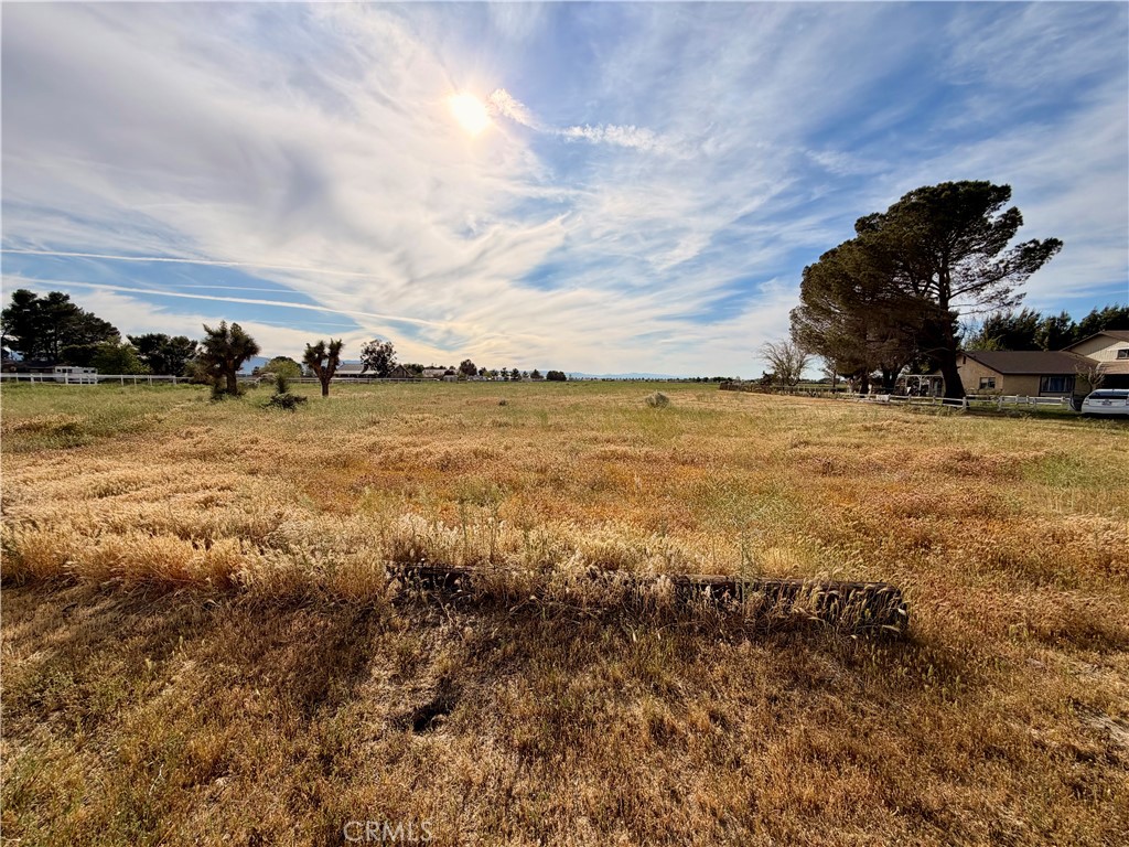 43127 40th Street East Lancaster, CA 93535 - Photo 5 of 24 Lot side