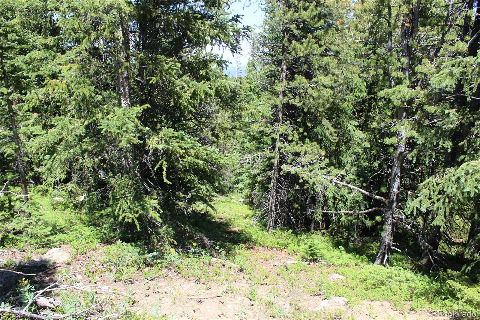 1595 Missouri Gulch Road Black Hawk, CO 80422 - Photo 26 of 49