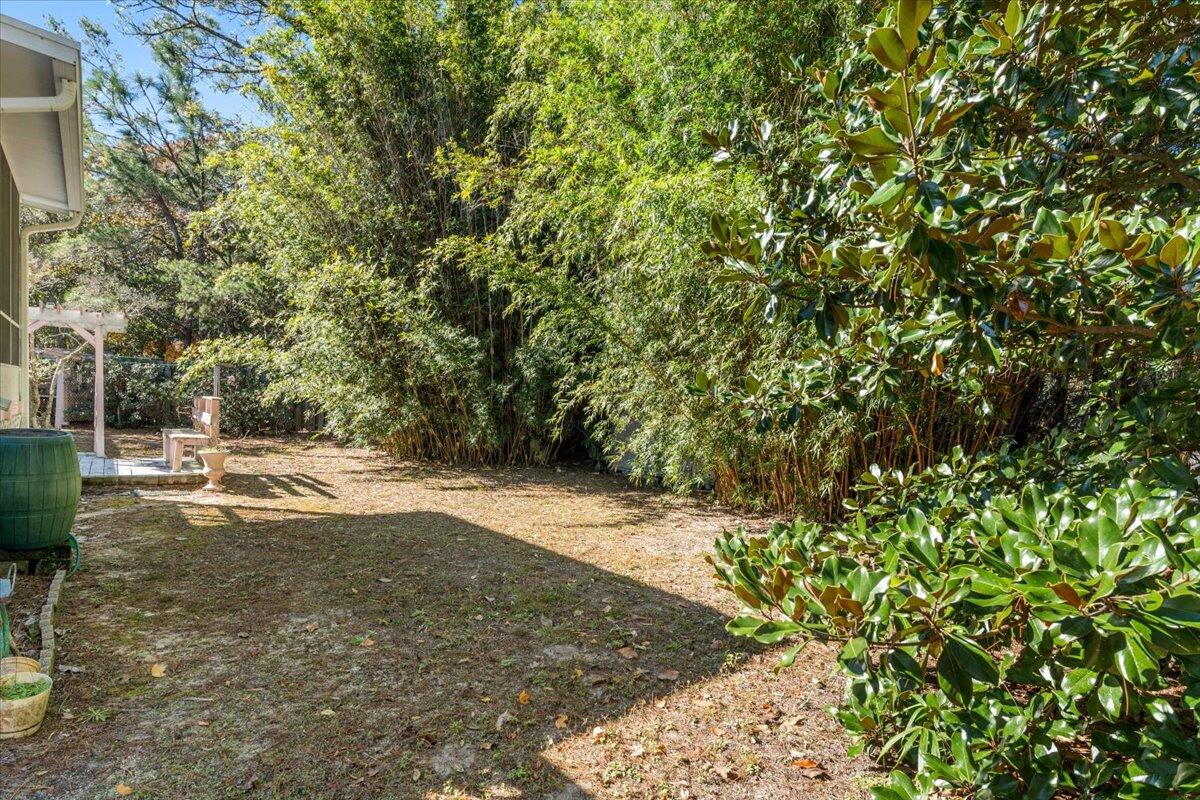 2941 Ferris Drive Navarre, FL 32566 - Photo 30 of 32 a view of a yard with plants and trees