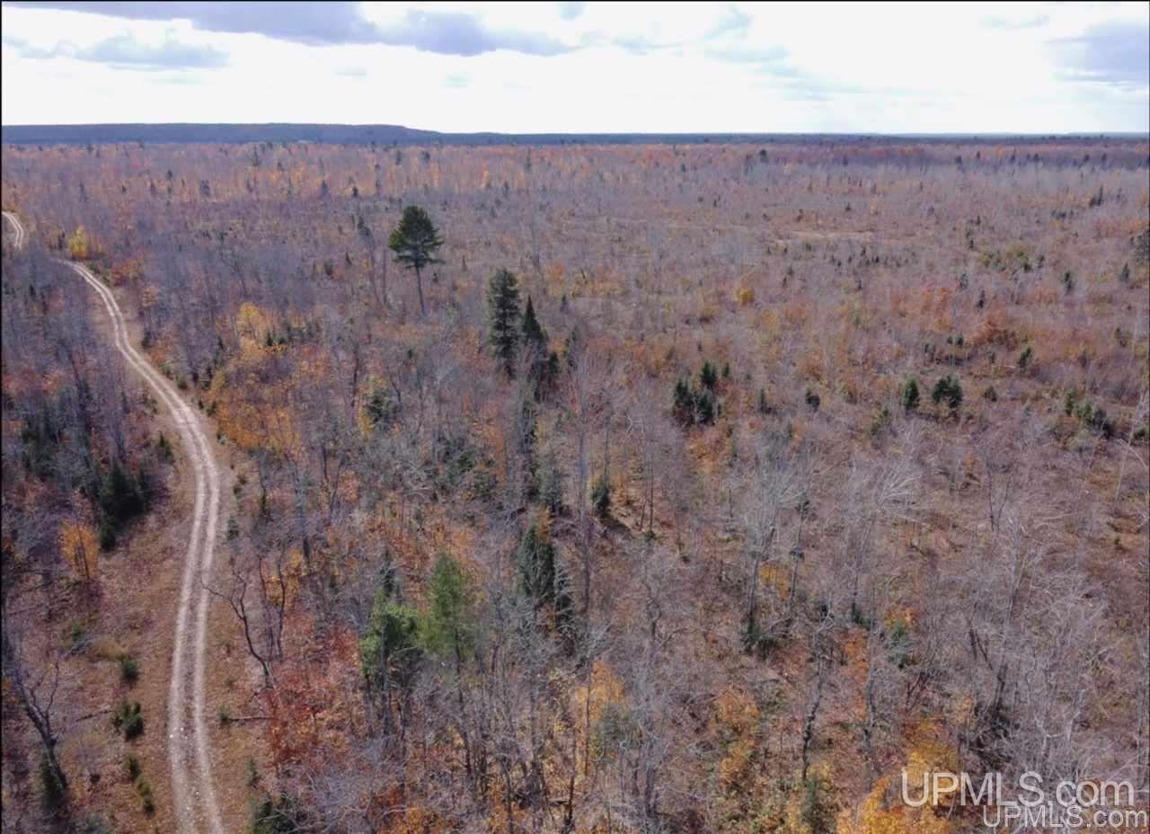 Tbd West Tbd W Co Road Seney, MI 49883 - Photo 2 of 12