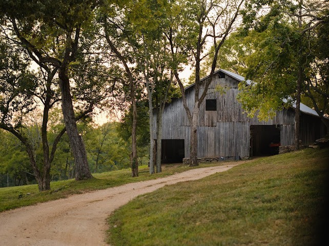 3534 Craig Bridge Road Santa Fe, TN 38482 - Photo 42 of 76 Gallery Image 42