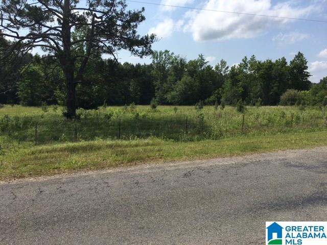 37-acres Joy Road, Unit 37 ACRES Hayden, AL 35079 - Photo 16 of 17