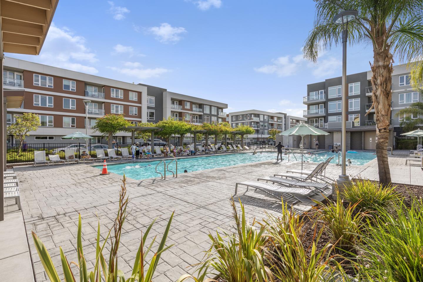 6063 Raleigh Road San Jose, CA 95123 - Photo 32 of 44 a view of a swimming pool with a garden and plants
