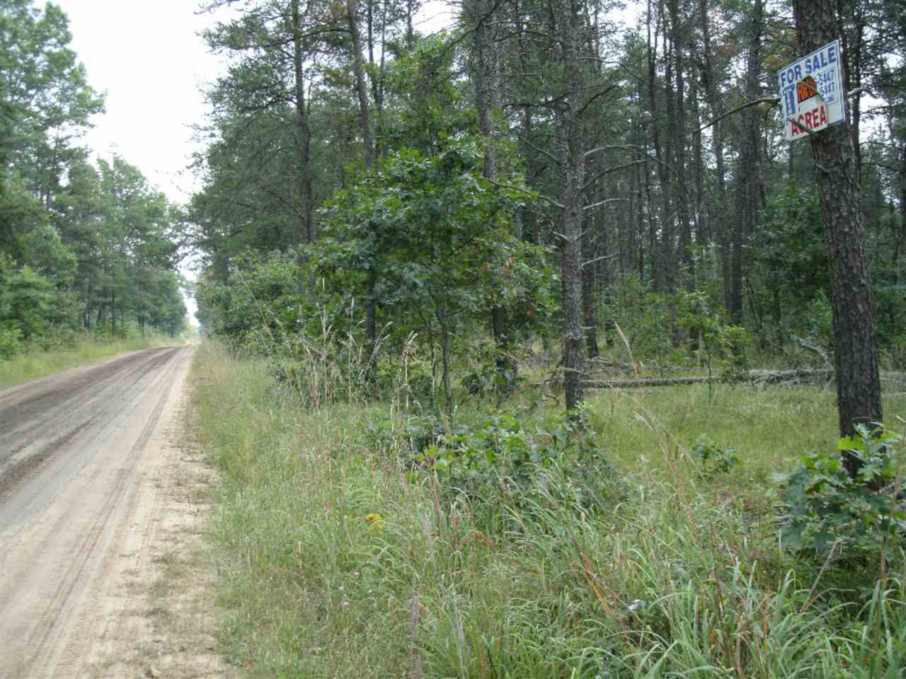 9 Mile Road Free Soil, MI 49411 - Photo 4 of 4