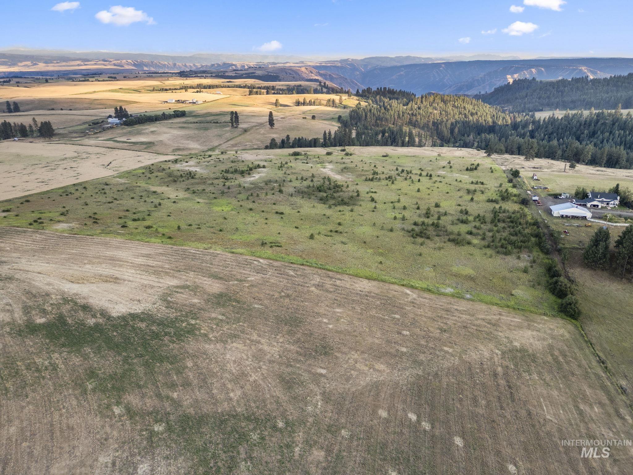 Tbd Keuterville Road Cottonwood, ID 83522 - Photo 4 of 20 Overview of rural landscape with a mountainous background