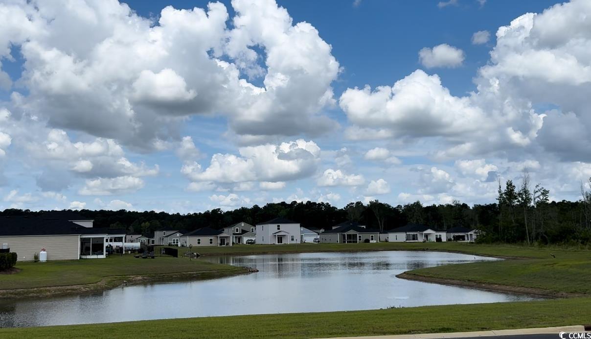 227 Saddle Street Conway, SC 29527 - Photo 21 of 22