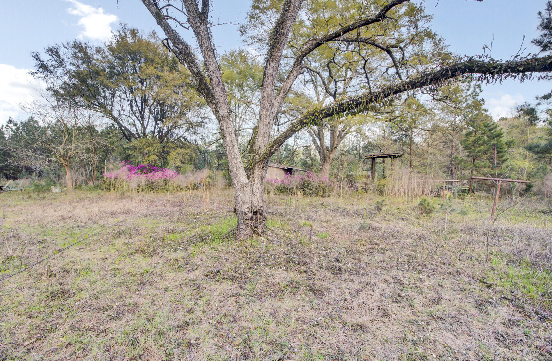 1945 Fish Road Ridgeville, SC 29472 - Photo 12 of 25 19_19_mls