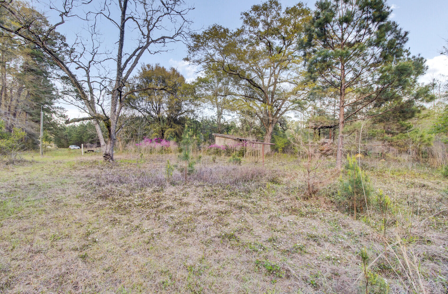 1945 Fish Road Ridgeville, SC 29472 - Photo 13 of 25 20_20_mls