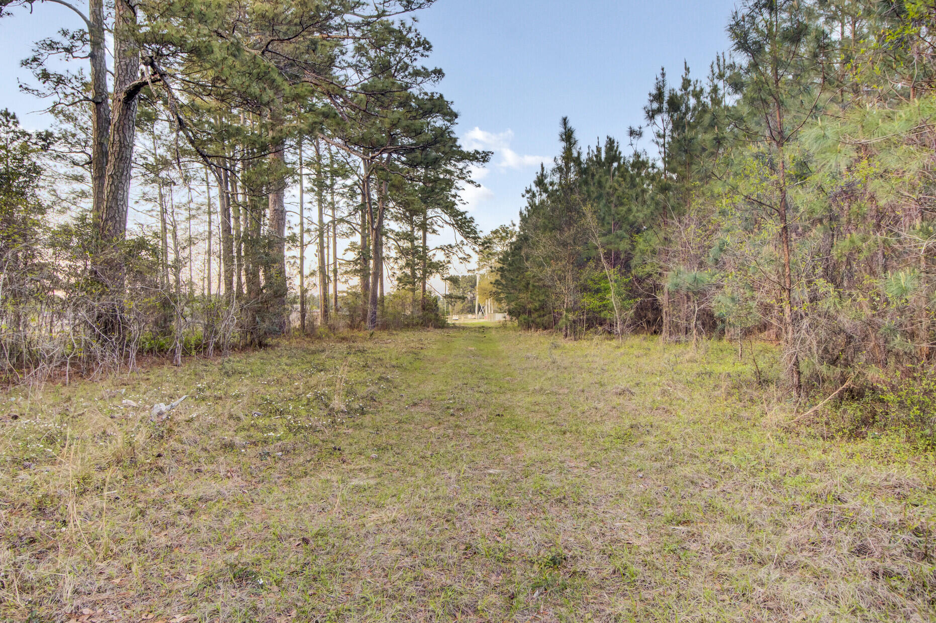 1945 Fish Road Ridgeville, SC 29472 - Photo 14 of 25 21_21_mls