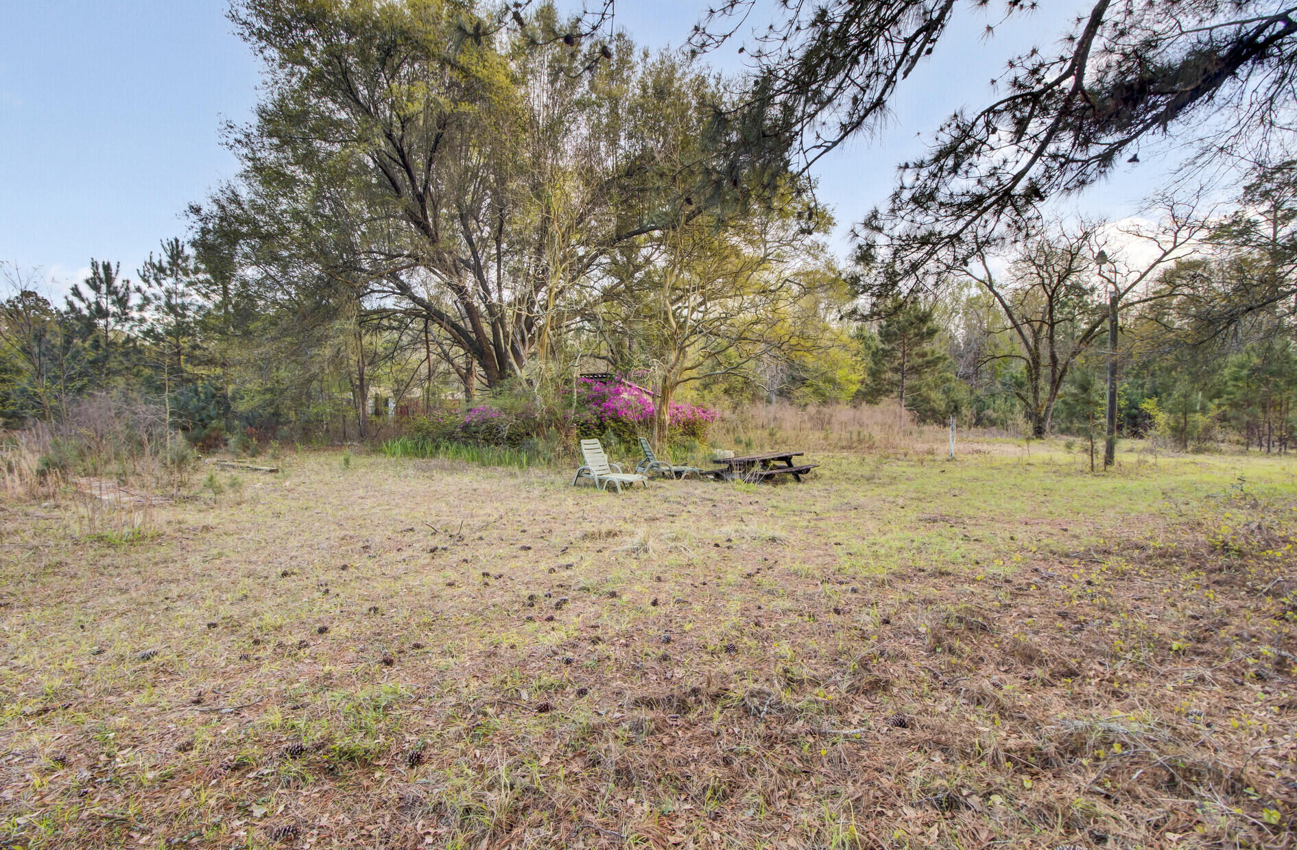 1945 Fish Road Ridgeville, SC 29472 - Photo 9 of 25 16_16_mls