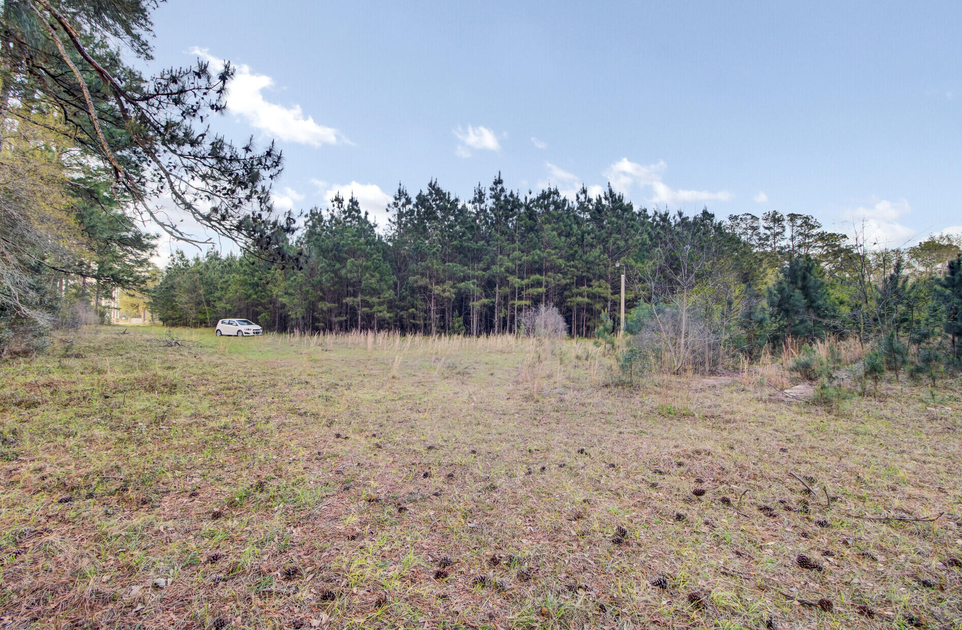 1945 Fish Road Ridgeville, SC 29472 - Photo 10 of 25 17_17_mls