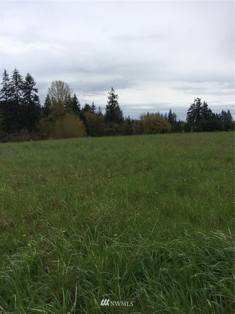 0 Northwest 19th Avenue Ridgefield, WA 98642 - Photo 1 of 3 Gallery Image 1