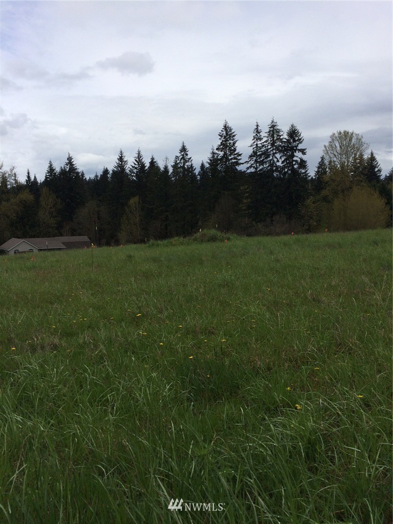 0 Northwest 19th Avenue Ridgefield, WA 98642 - Photo 2 of 3 Gallery Image 2