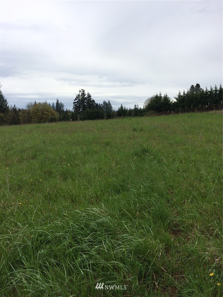 0 Northwest 19th Avenue Ridgefield, WA 98642 - Photo 3 of 3 Gallery Image 3