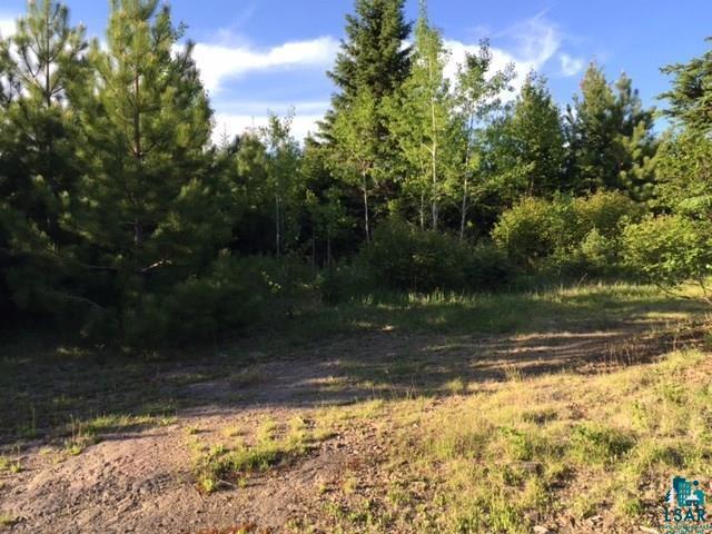 1142 Camp 20 Road Grand Marais, MN 55604 - Photo 11 of 17