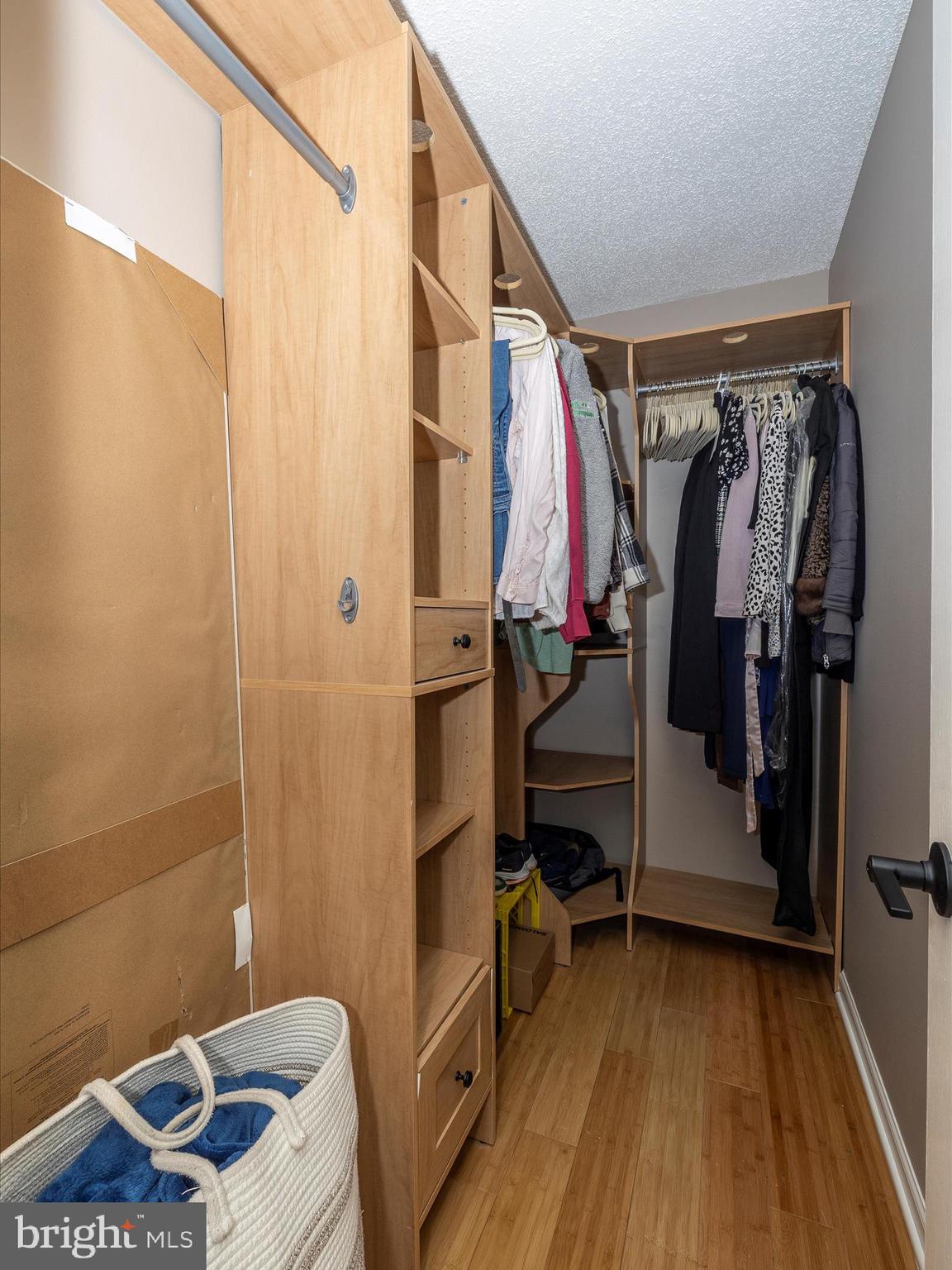 1127 Daffodil Drive Frederick, MD 21703 - Photo 34 of 61 a view of walk in closet with clothes and shoes