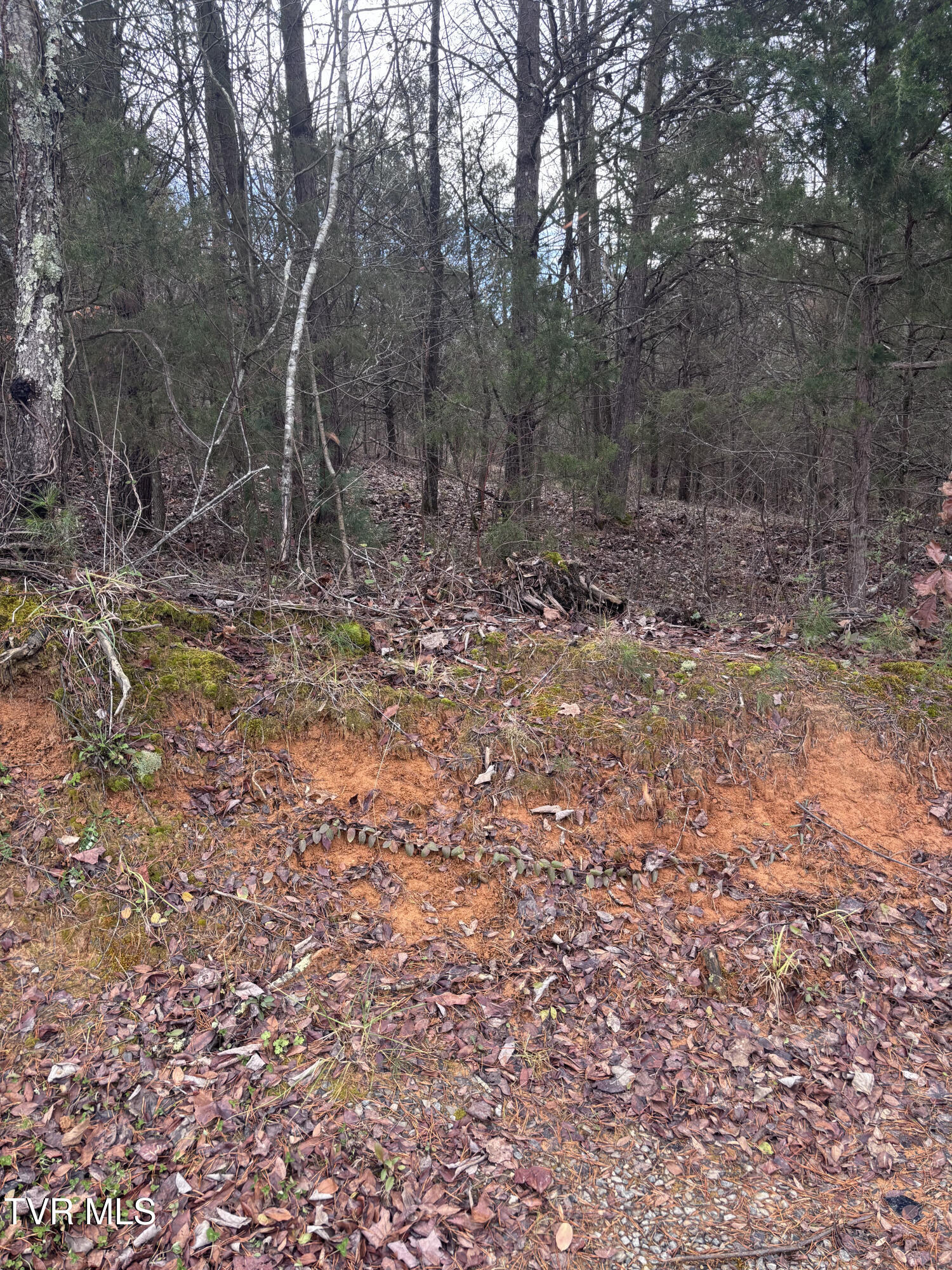 201 Happy Valley Road Johnson City, TN 37601 - Photo 3 of 10 IMG_2030