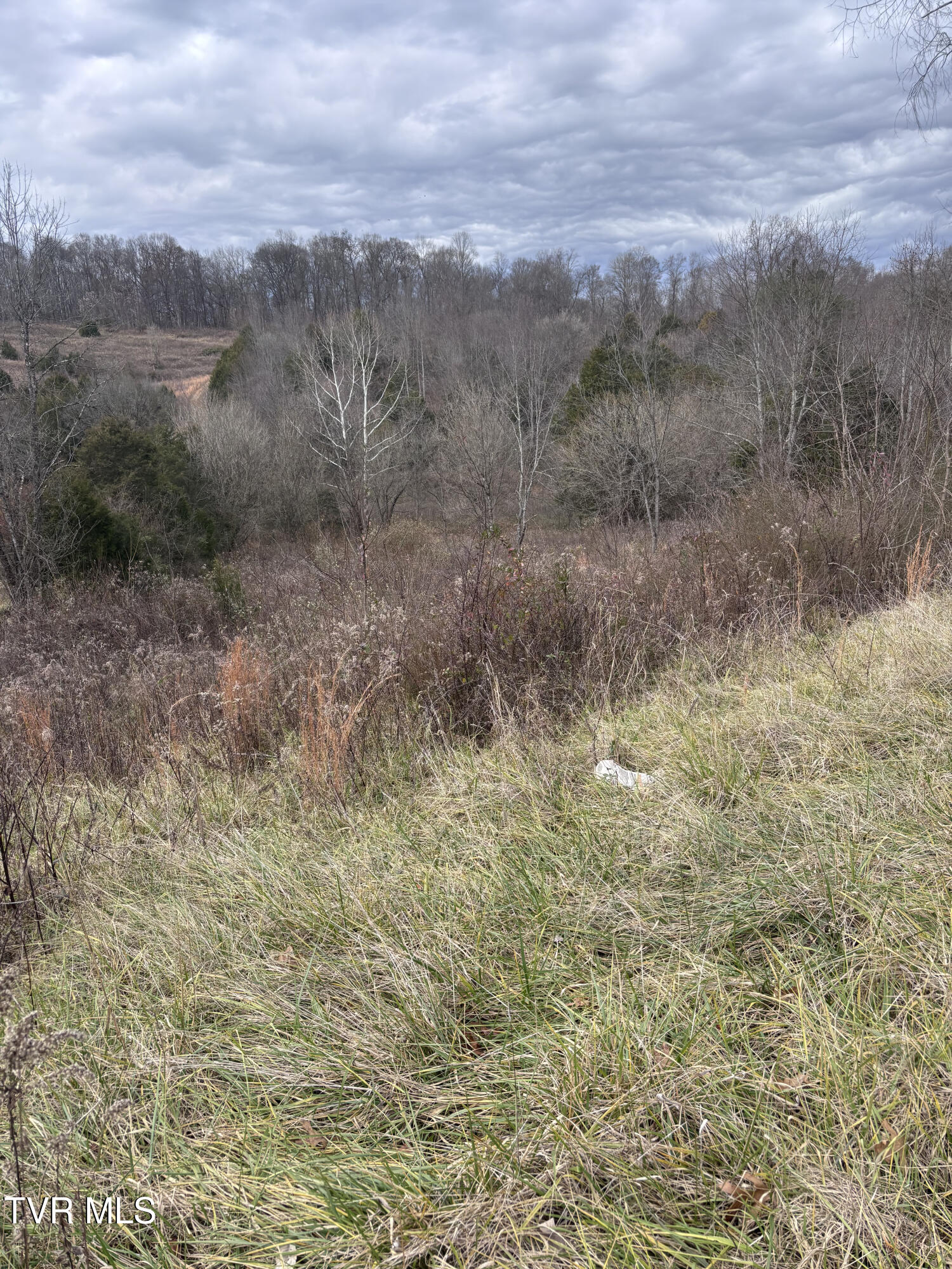 201 Happy Valley Road Johnson City, TN 37601 - Photo 4 of 10 IMG_2034