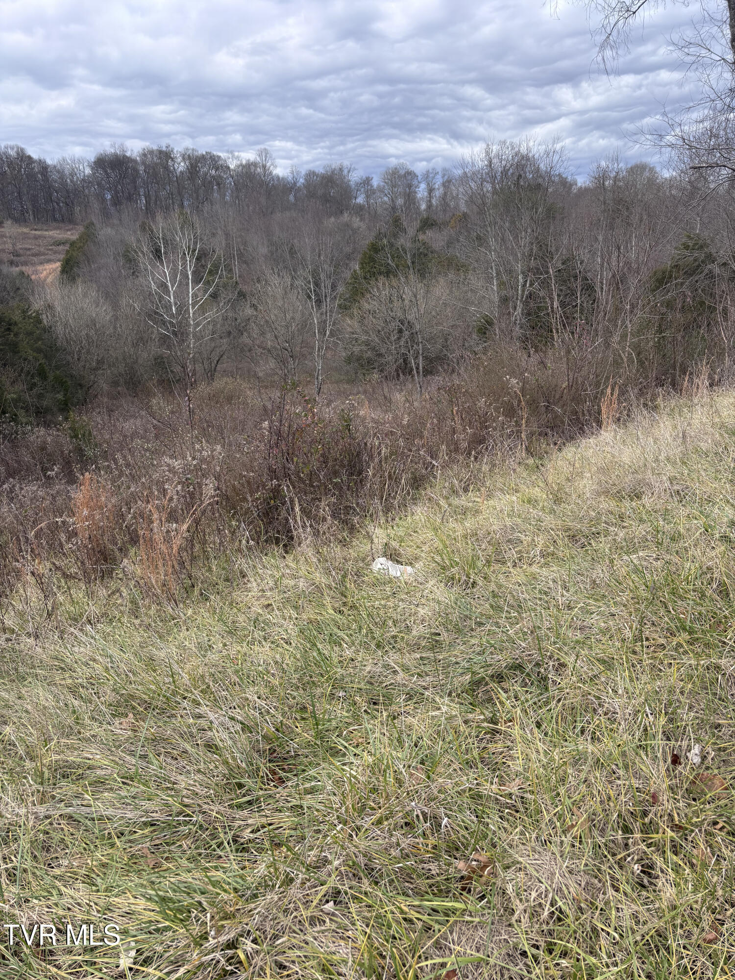 201 Happy Valley Road Johnson City, TN 37601 - Photo 5 of 10 IMG_2035