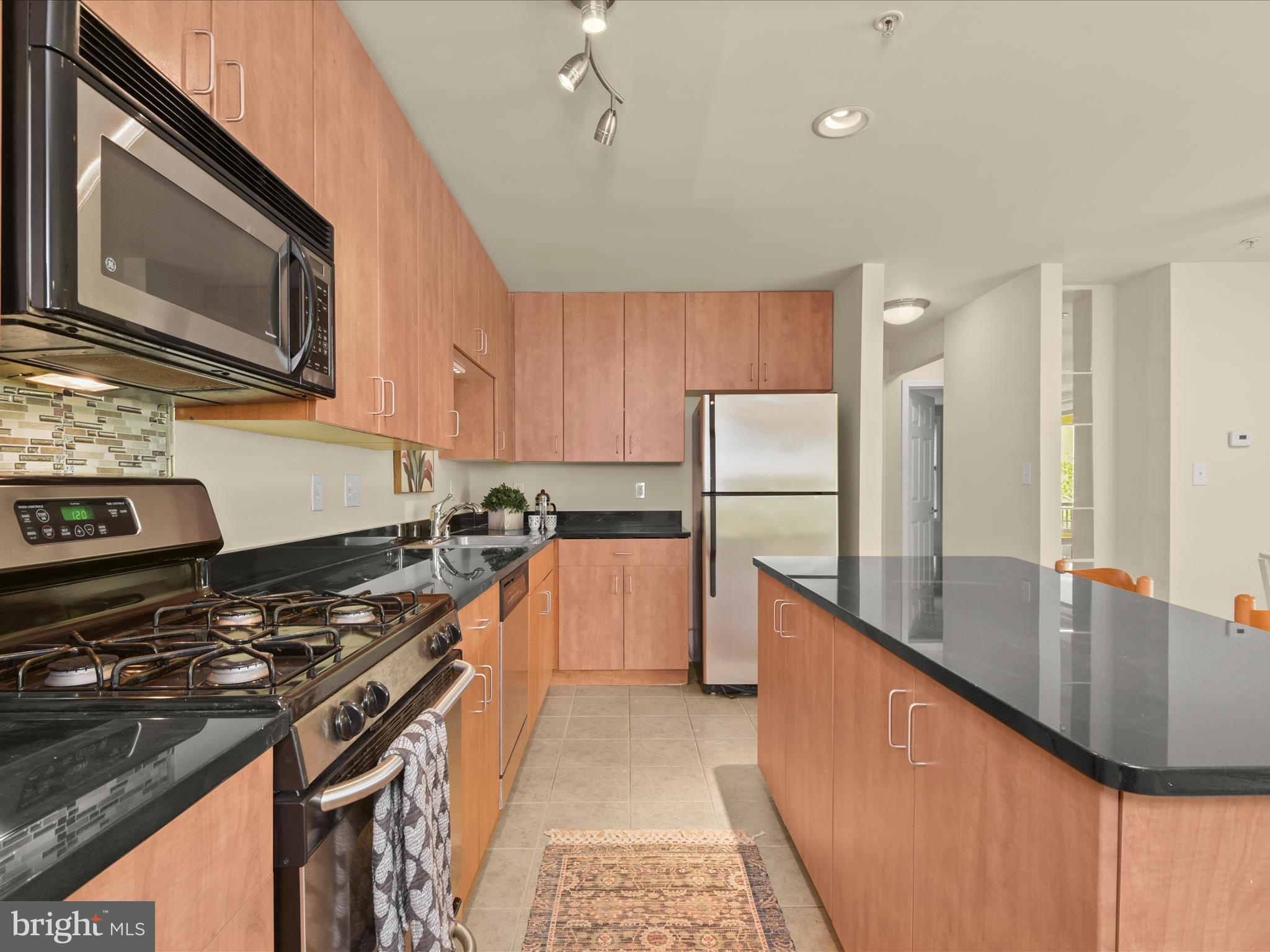 1004 Primrose Road, Unit 202 Annapolis, MD 21403 - Photo 10 of 39 Quartz countertops & stainless appliances